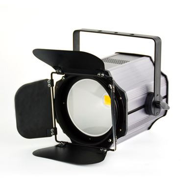 300W LED par light