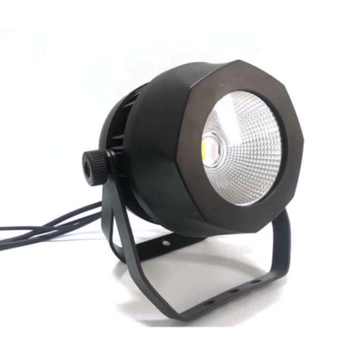 200W LED COB Par Light