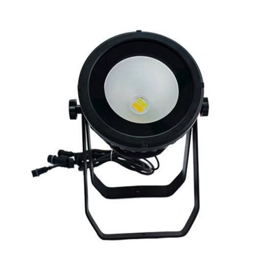 200W COB PAR LIGHT